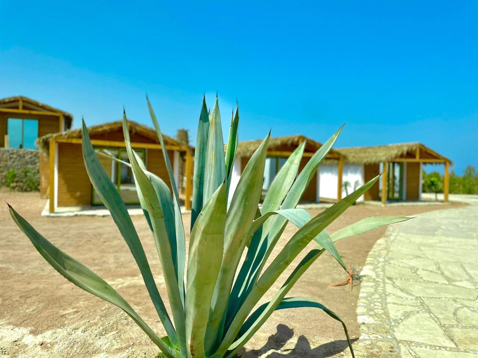 Ananda Beach Camp Нувейба Екстер'єр фото